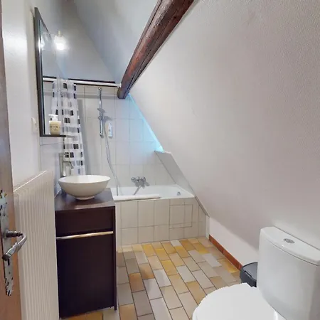 Zum Baeren Duplex - 1 Parking * Colmar